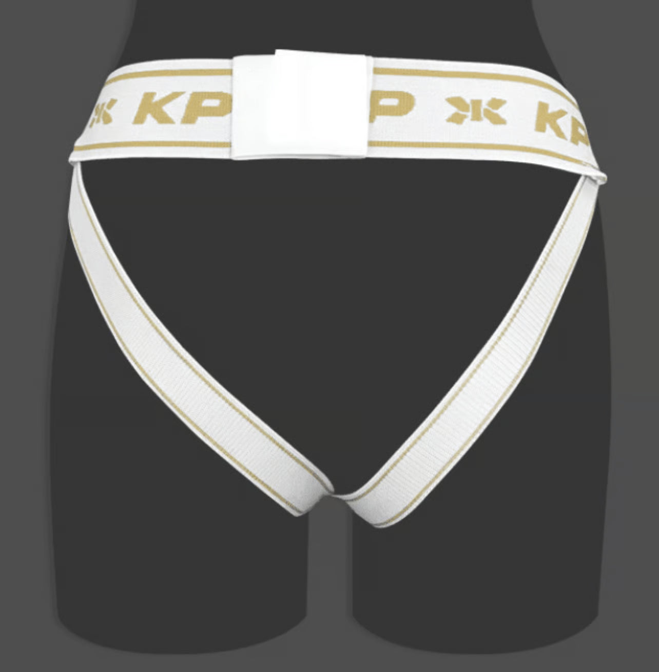 KPNP Groin Guard (Male)